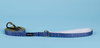 Dog Lead Lengths Explained: UK Expert Guidelines