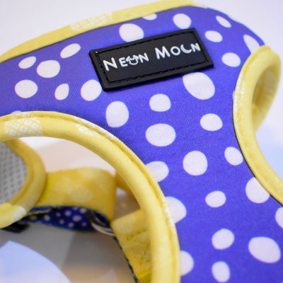 The Minnie Collection