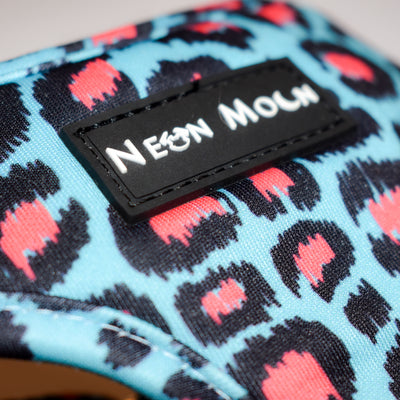 The Willow Collection