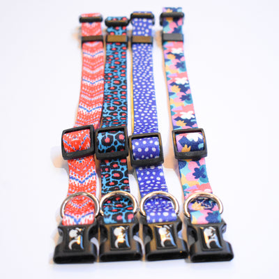 Dog Collars