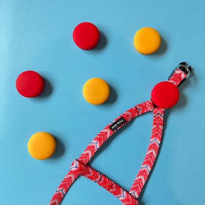 Air tag holders on step in dog harness