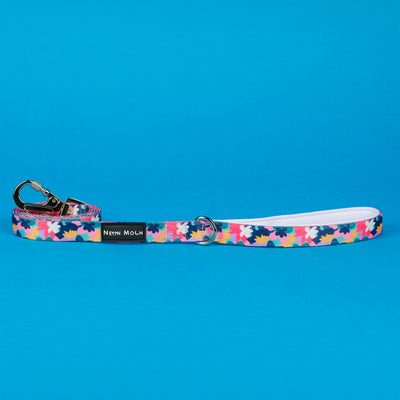 Floral Print Luna dog lead with padded handle