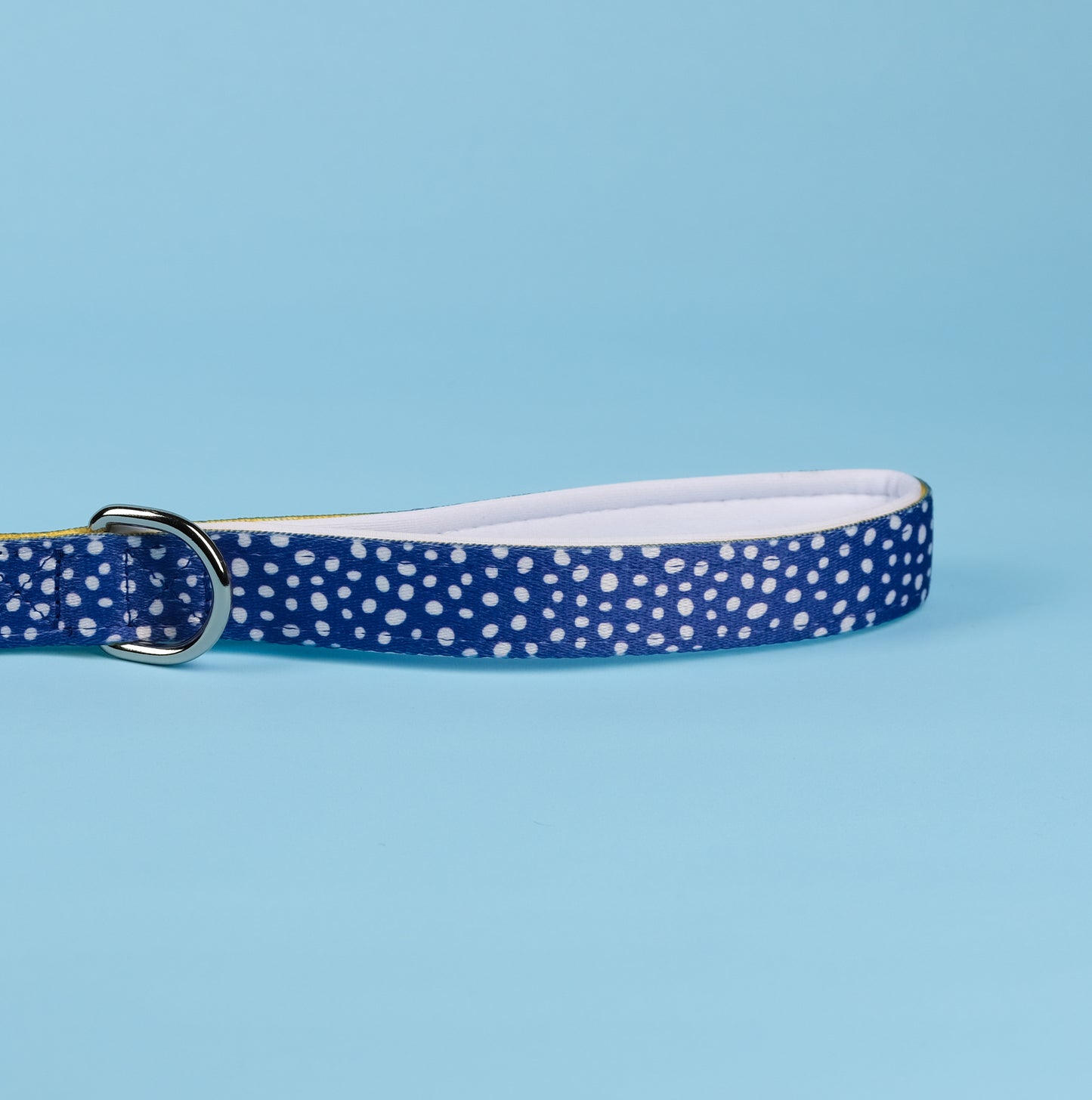 Blue dog lead padded handle with white polka dots on a light blue background