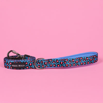 The Willow Leopard Print Dog lead with carabiner clip with padder handle