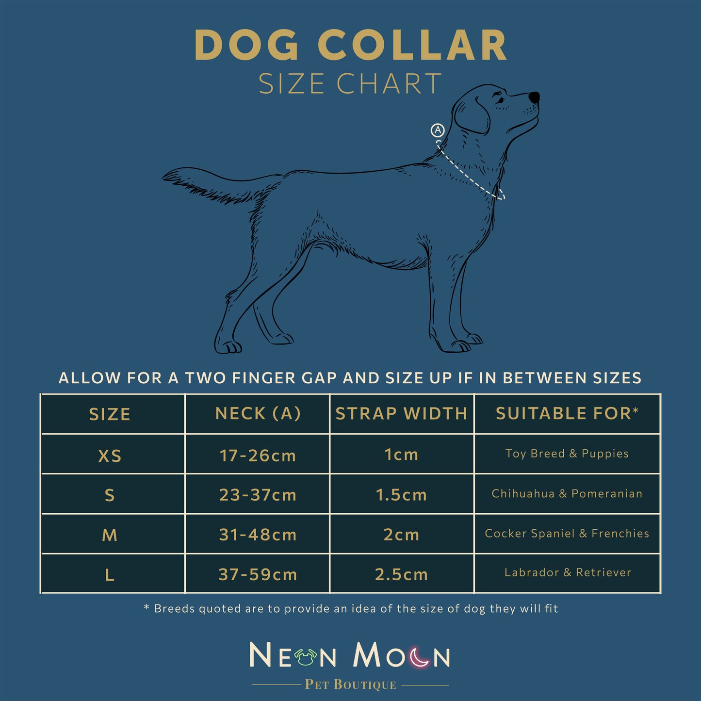 Neon Moon Dog Collar Size Chart