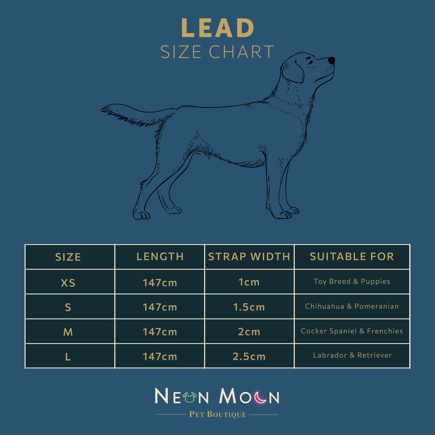 Dog lead size chart with measurements and suitable dog breeds on a blue background