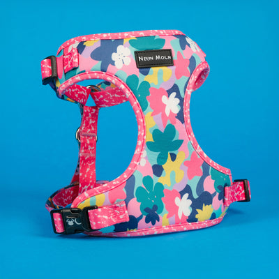 Colorful floral-patterned dog harness on a blue background