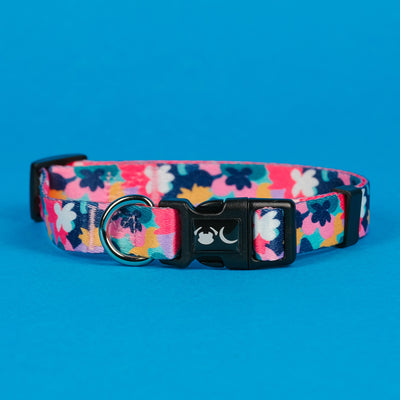Floral Print Luna Dog Collar