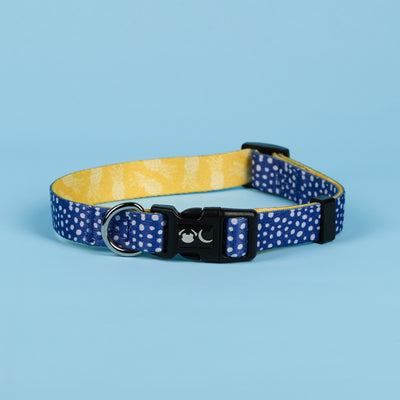 Blue polka dot dog collar with clip and safety D ring