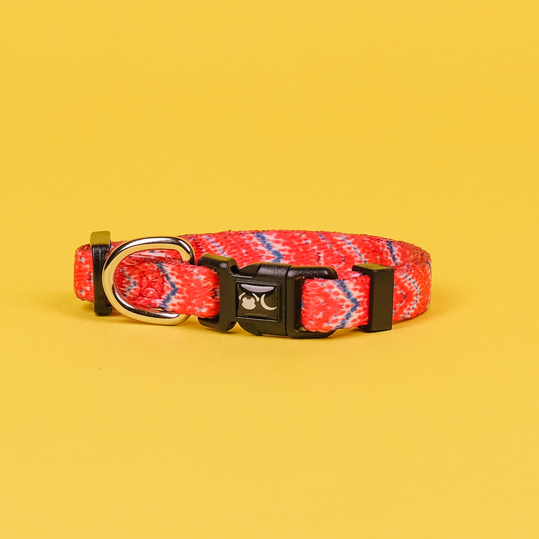 red chevron dog collar for small dogs