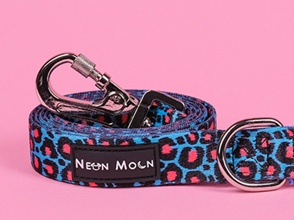 Blue Leopard Print Willow Dog Lead