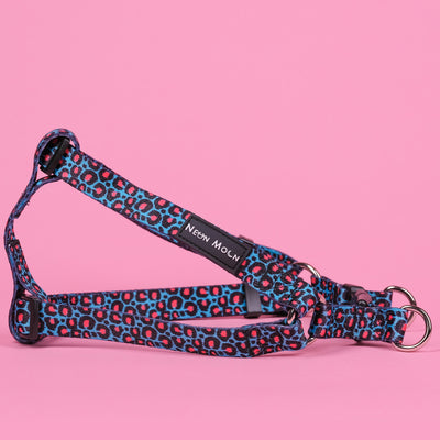 Blue leopard print step in dog harness