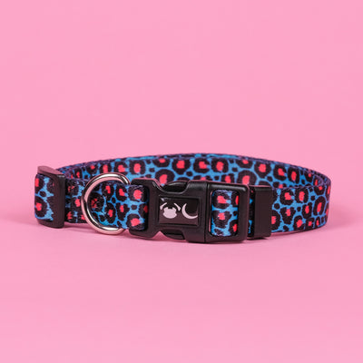Blue Leopard Print Willow Dog Collar