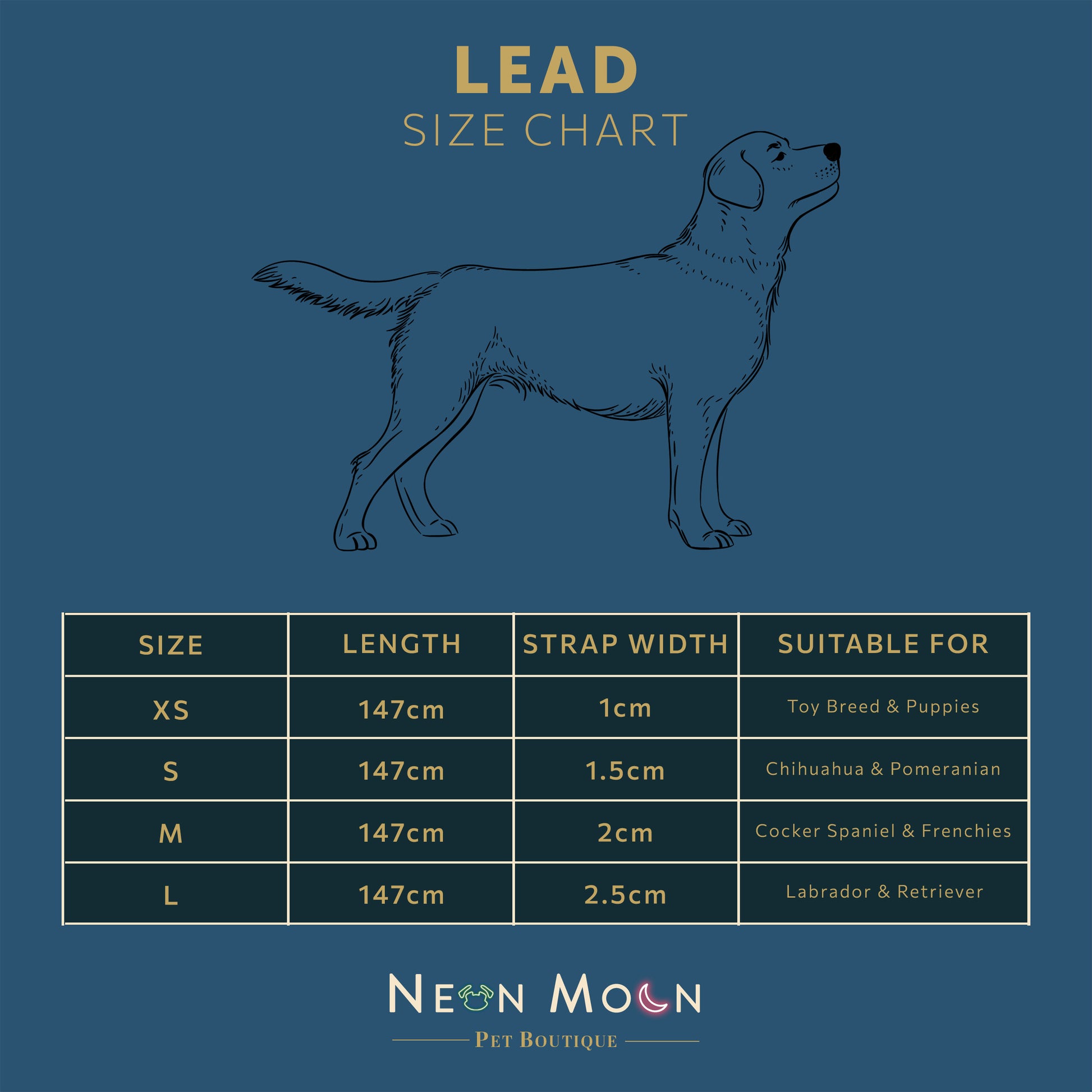 Dog lead size chart with measurements and suitable dog breeds on a blue background