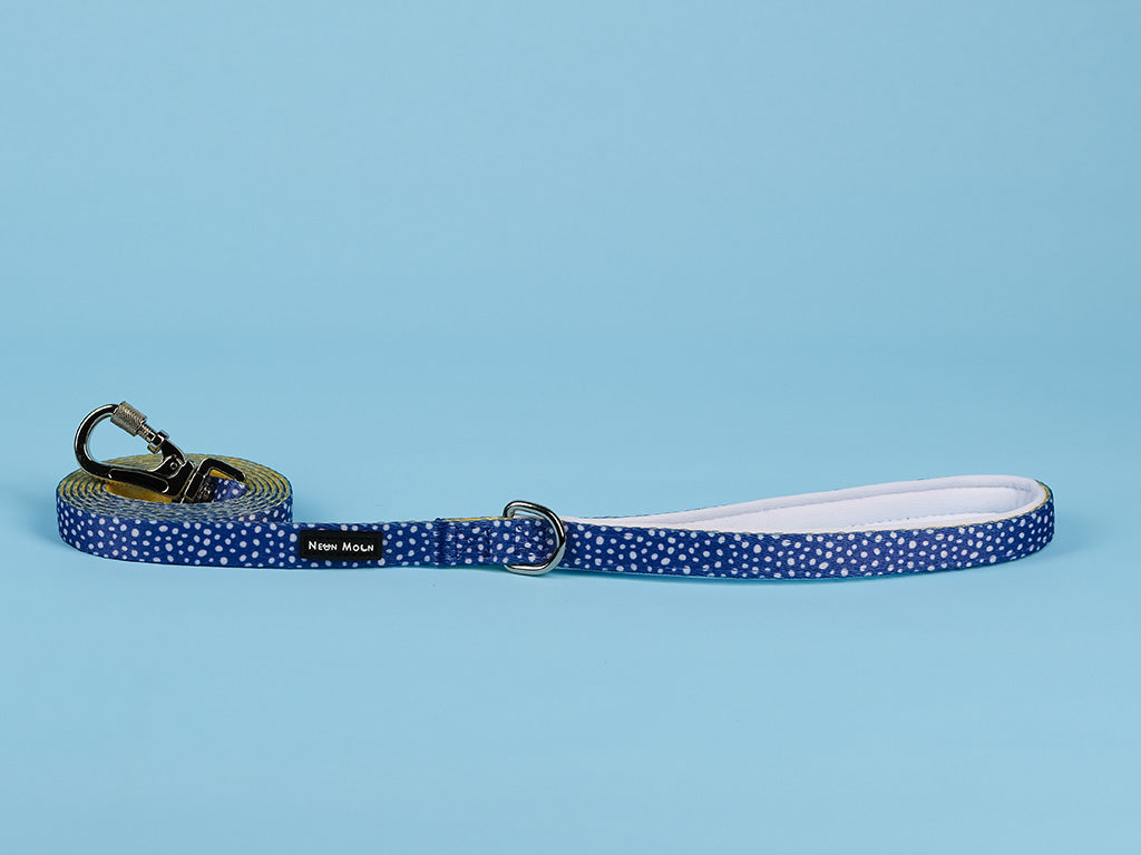 The Minnie polka dot blue Dog lead with Carabiner clip - size small