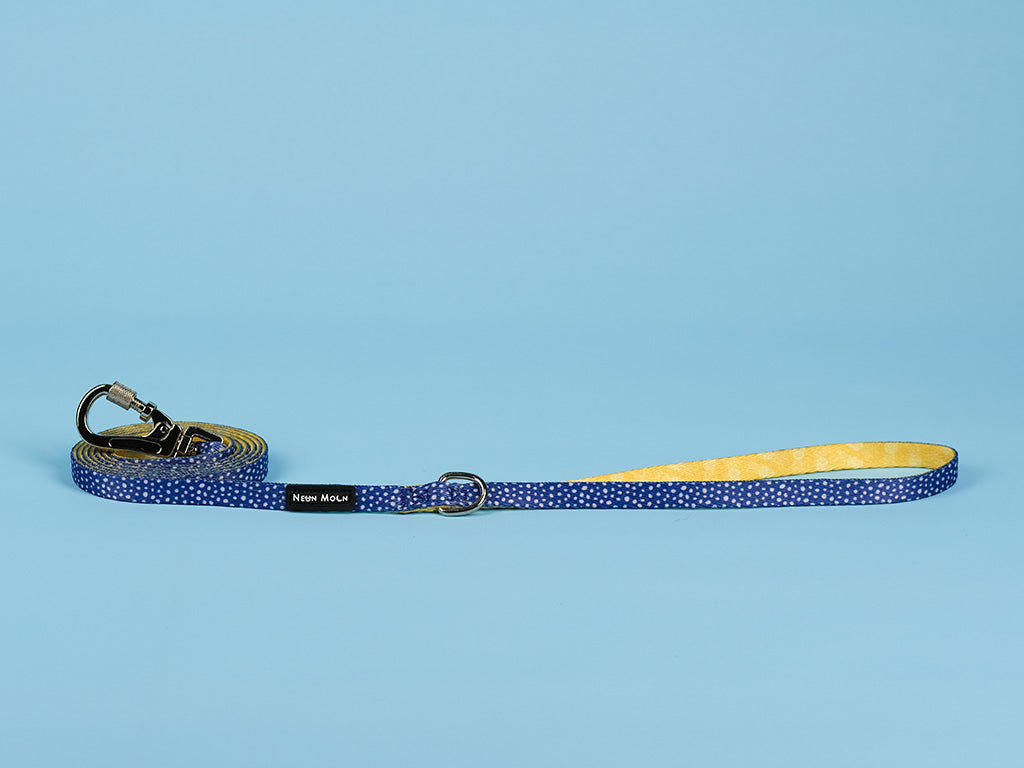 The Minnie polka dot blue Dog lead with Carabiner clip - size extra small
