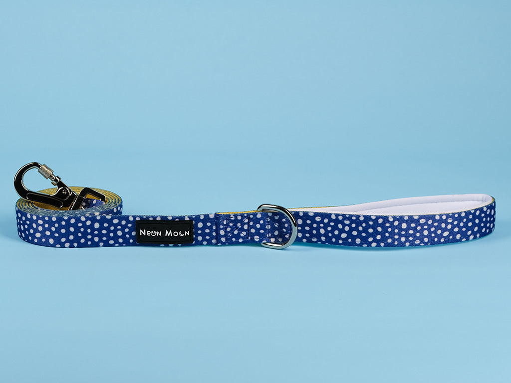 The Minnie polka dot blue Dog lead with Carabiner clip - size large
