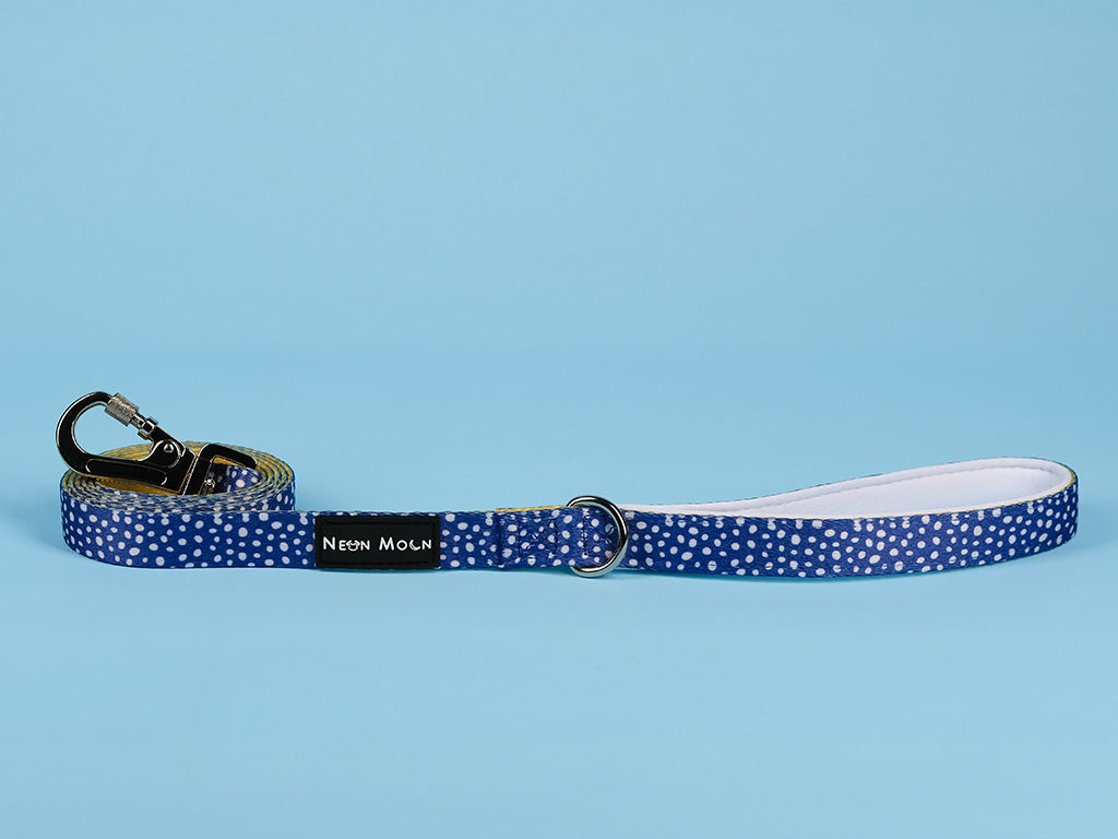 The Minnie polka dot blue Dog lead with Carabiner clip - size medium