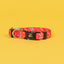 The Tod Dog Collar