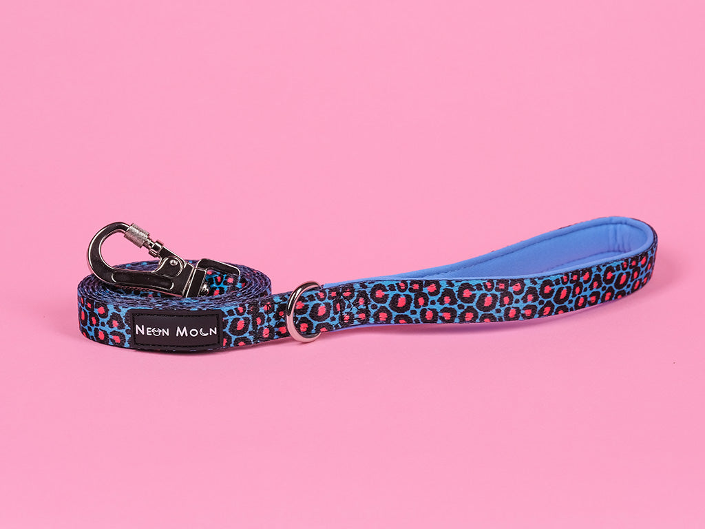 The Willow Leopard Print Dog lead with carabiner clip - size medium
