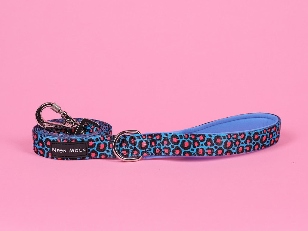 The Willow Leopard Print Dog lead with Carabiner clip - size small