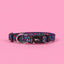 Blue Leopard Print Willow Dog Collar